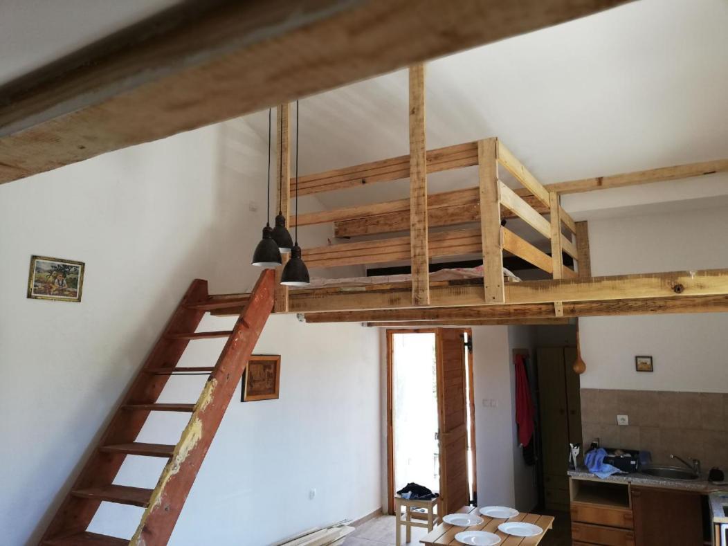 Apartment Zola Gornji Karin Ngoại thất bức ảnh
