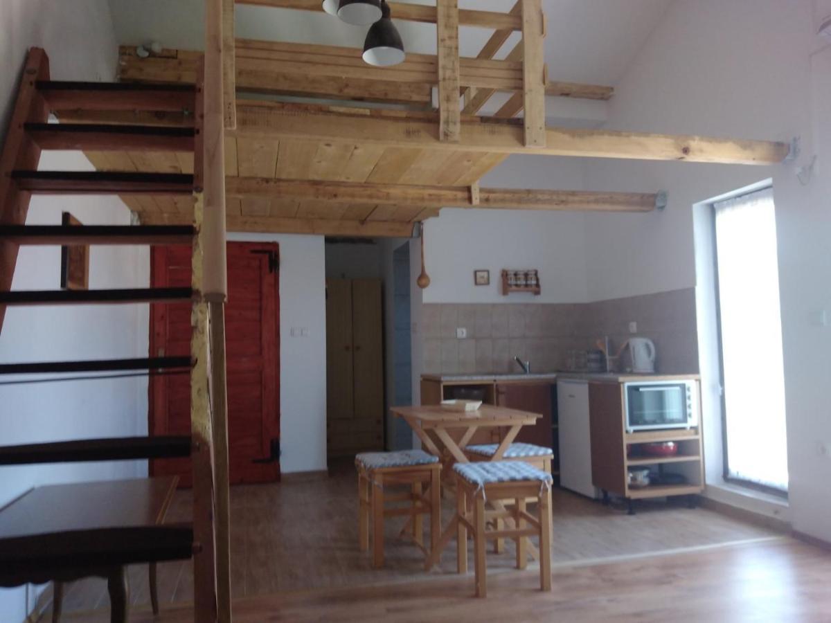 Apartment Zola Gornji Karin Ngoại thất bức ảnh